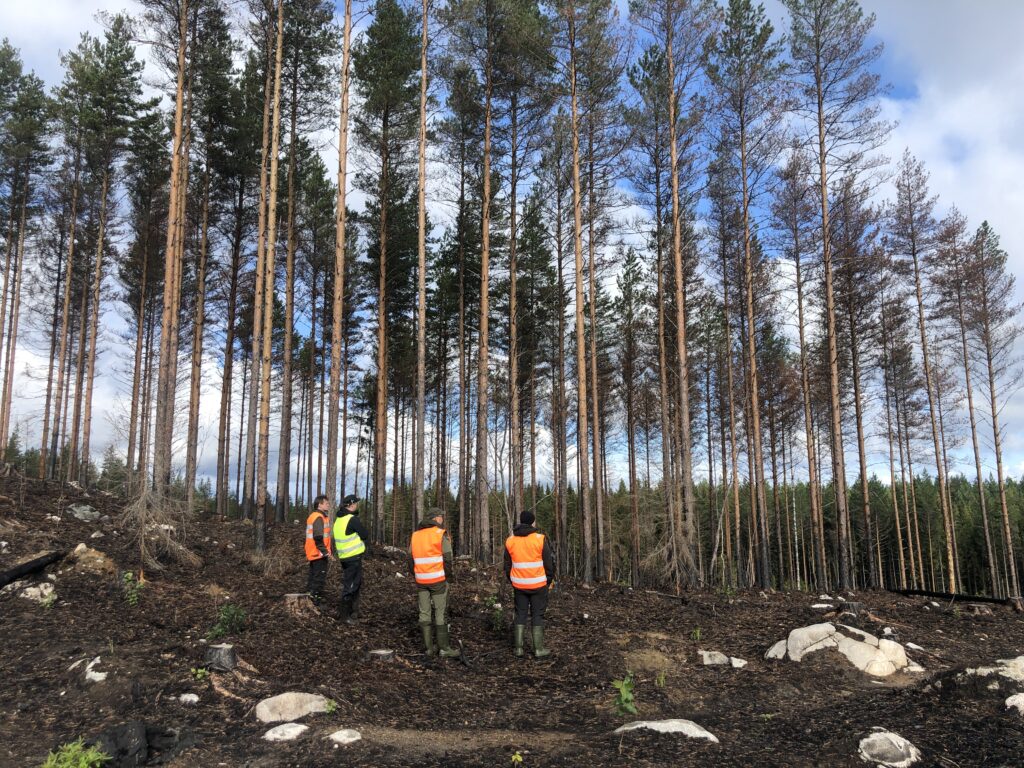 Kulotustyömaan tarkastaminen kuului maastopäivän ohjelmaan.