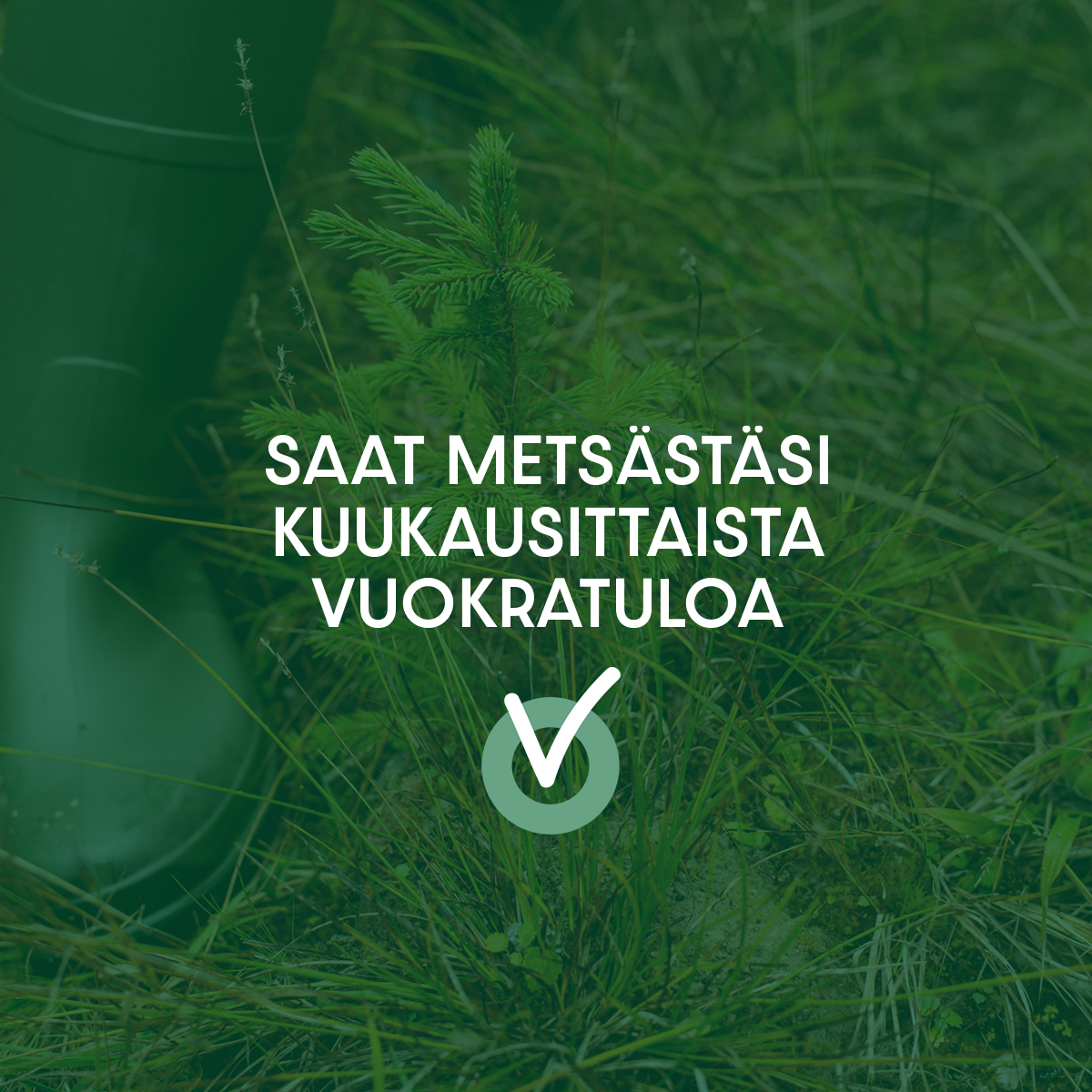 tornator metsästä vuokratuloa