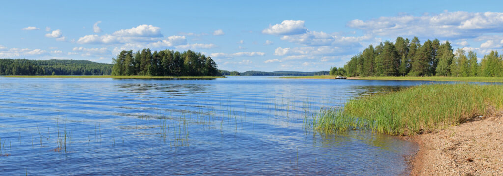 Kesäinen järvimaisema ja rantakaislikko.