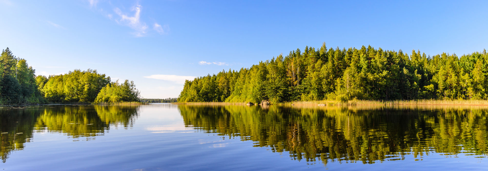 Kesäinen järvimaisema.
