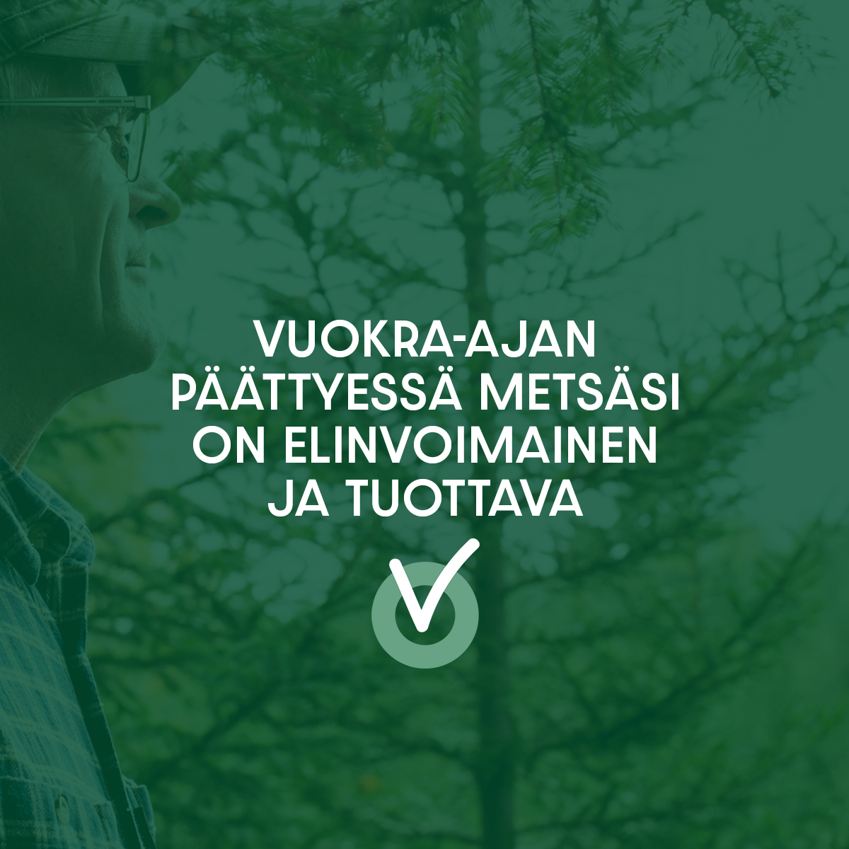 Hymyilevä metsänomistaja metsässä nuorien puiden vierellä: vuokra-ajan päättyessä metsäsi on elinvoimainen ja tuottava.
