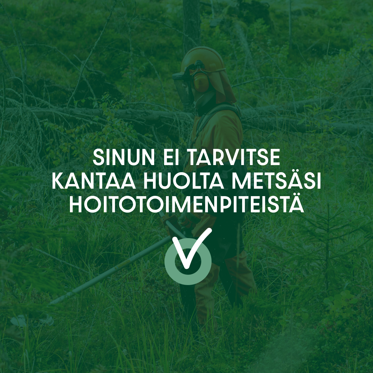 Tornatorin metsuri työskentelemässä metsässä raivaussahalla: sinun ei tarvitse kantaa huolta metsäsi hoitotoimenpiteistä.