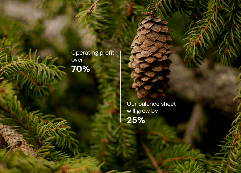 Financial stability and profitability