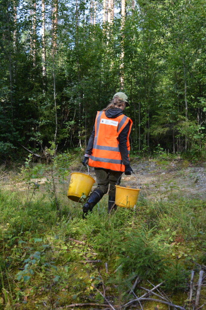 Purotalkoot 21.8.2025